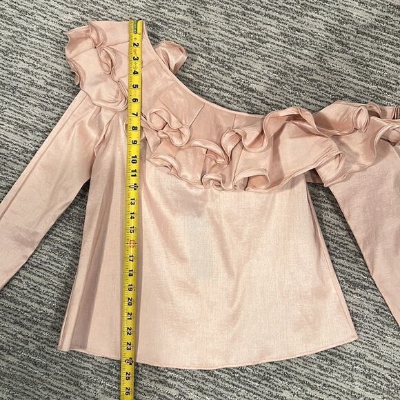 NWT Petersyn Lou One Shoulder Blouse- Cameo Pink Ruffle Size Small - Picture 6 of 12